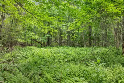 00000 Severance Road #1, Laconia, NH 03246 - Photo 11