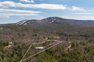 2149 Brook Rd, Goshen, NH 03752 - Photo 3