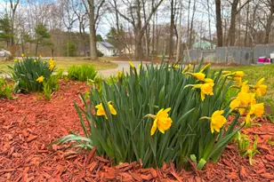 30 Highland St, Newton, NH 03858 - Photo 41