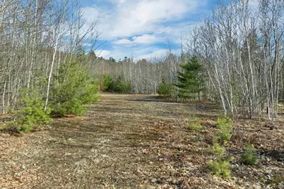 Lot 41 Oakcrest Road, Bristol, NH 03222 - Photo 15