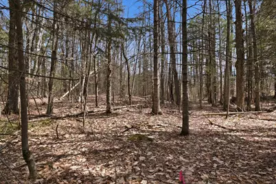 0 Puckerbrush Road, Campton, NH 03223 - Photo 17