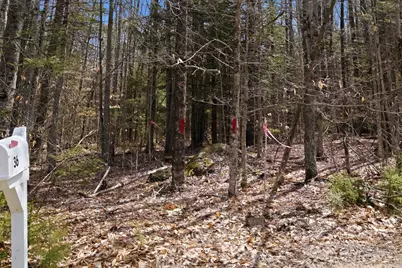 0 Puckerbrush Road, Campton, NH 03223 - Photo 13