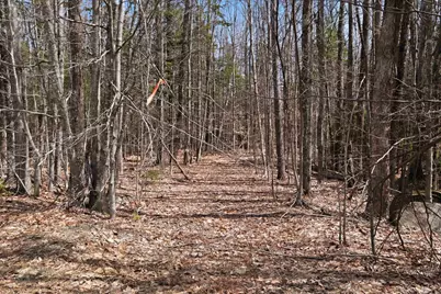 0 Puckerbrush Road, Campton, NH 03223 - Photo 9