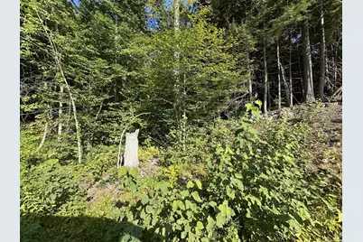 90 Old Swanzey Road, Winchester, NH 03470 - Photo 5