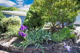 994 South St, Portsmouth, NH 03801 - Photo 35