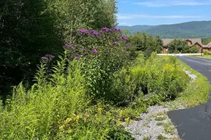 74 N Rdg Rd, Bradford, NH 03221 - Photo 53
