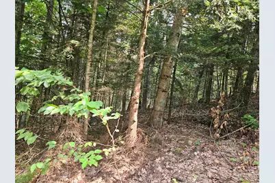 Lot 265 King Drive, Haverhill, NH 03765 - Photo 5