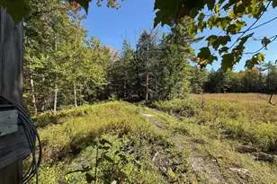 669 High St, Candia, NH 03034 - Photo 53