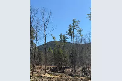 Lot 1 Whittier Road, Tamworth, NH 03886 - Photo 11