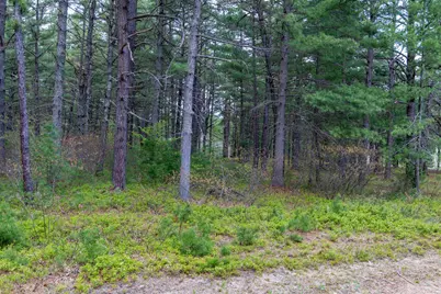 36 Logan Way, Ossipee, NH 03890 - Photo 9