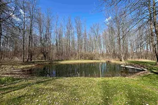 14 Ferry Rd, South Hero, VT 05486 - Photo 9