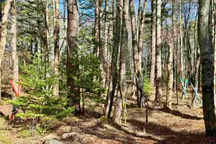 2659 Nh Route 16, Albany, NH 03818 - Photo 37