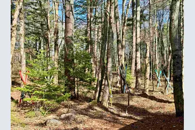 2659 Nh Route 16, Albany, NH 03818 - Photo 51