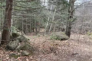 241 Smith Pond Rd, Washington, NH 03280 - Photo 27