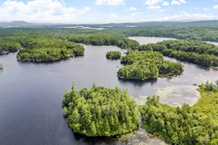 2 Little Badger Island, Moultonborough, NH 03254 - Photo 47