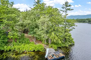 2 Little Badger Island, Moultonborough, NH 03254 - Photo 45