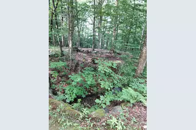 Mitchell Road, Thornton, NH 03223 - Photo 5