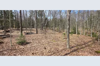 Mitchell Road, Thornton, NH 03223 - Photo 15