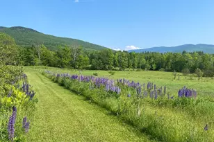 26 Herman Savage Rd, Northumberland, NH 03584 - Photo 11