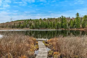 66 Colleague Pond Rd, Henniker, NH 03242 - Photo 51