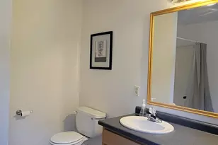 250 Grapevine Rd, Dunbarton, NH 03045 - Photo 53