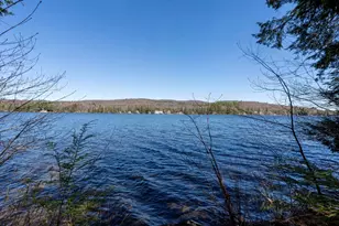 14 Loyd Ln, Harrisville, NH 03450 - Photo 51