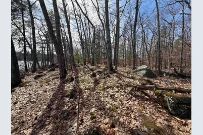 65.4 Gansy Island, Moultonborough, NH 03254 - Photo 9