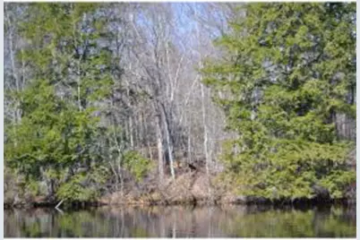 65.4 Gansy Island, Moultonborough, NH 03254 - Photo 19