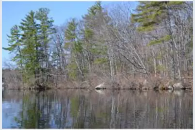 65.4 Gansy Island, Moultonborough, NH 03254 - Photo 17