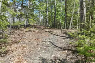 318 Kings Hwy, New Durham, NH 03855 - Photo 19