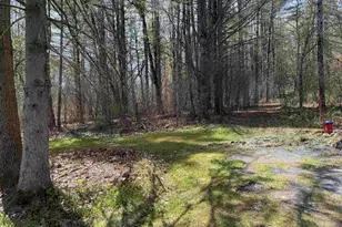 105 Craigue Hill, Springfield, VT 05156 - Photo 39