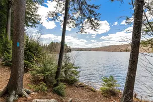 15 Sunset Walk, Enfield, NH 03748 - Photo 45