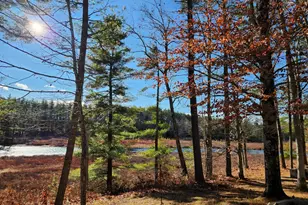 345 Heron Point Rd, Alton, NH 03809 - Photo 15