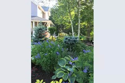 208 Benjamin Wentworth Drive, Tamworth, NH 03817 - Photo 3