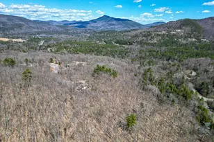 46 Pickering Rd, Bartlett, NH 03812 - Photo 57