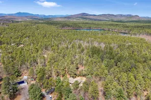 26 Clancy Rd, Freedom, NH 03836 - Photo 41