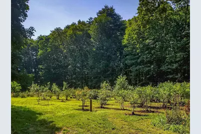 226 Amesbury Road, Kensington, NH 03833 - Photo 39