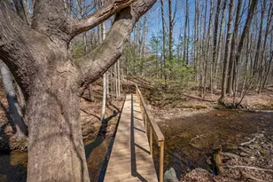 226 Amesbury Rd, Kensington, NH 03833 - Photo 49