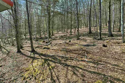878 Rattlesnake Island, Alton, NH 03810 - Photo 41
