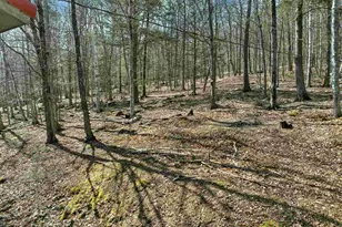 878 Rattlesnake Island, Alton, NH 03810 - Photo 41