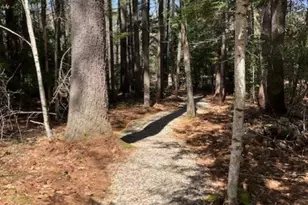 80 N Dorr Way, Wakefield, NH 03830 - Photo 43