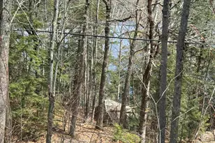 61 Bayle Mountain Rd, Ossipee, NH 03814 - Photo 41