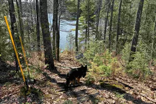 61 Bayle Mountain Rd, Ossipee, NH 03814 - Photo 45