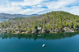 630 Rattlesnake Island, Alton, NH 03810 - Photo 3
