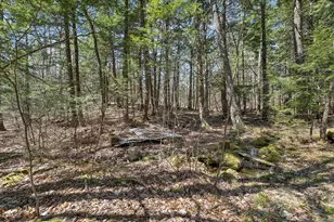 133 Thunder Rd, Franklin, NH 03235 - Photo 49