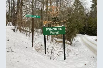191 Pingree Park Lane, Londonderry, VT 05148 - Photo 17