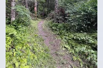 191 Pingree Park Lane, Londonderry, VT 05148 - Photo 5