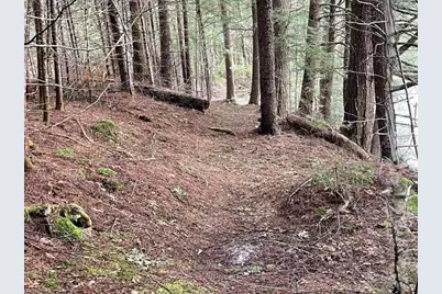 191 Pingree Park Lane, Londonderry, VT 05148 - Photo 7