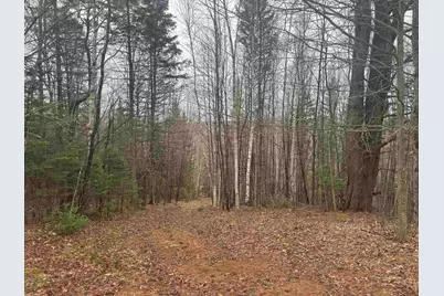 231 John Rock Road, Wheelock, VT 05851 - Photo 9