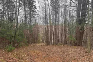 231 John Rock Rd, Wheelock, VT 05851 - Photo 9